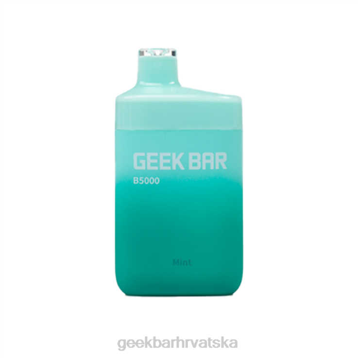 Geek Bar Cijena | Geek Bar b5000 za jednokratnu upotrebu 4604232 metvica