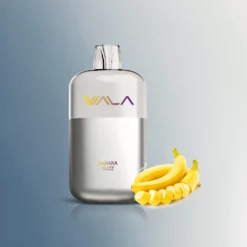 WALA POP 10000 puffs s dvostrukom mrežastom zavojnicom